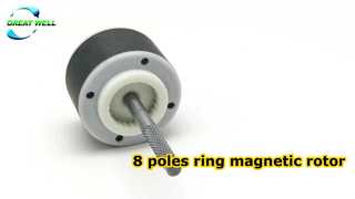 8-poliger Ringmagnetrotor