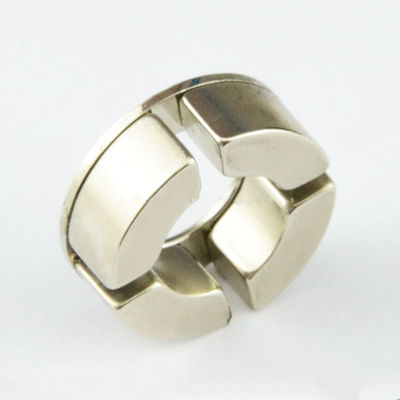 Neodym-dauerhafter magnetischer Versammlungs-Magnet-Rotorfläche-Ring