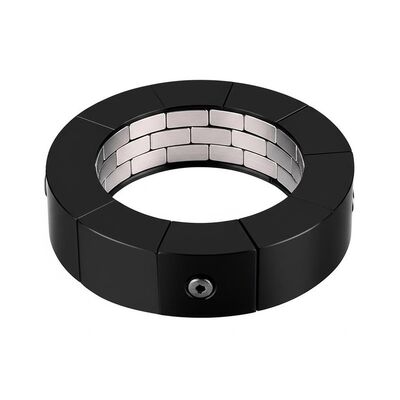 Guter Preis Cutting Custom Permanent Magnetic Assembly Black Specifications Customize Magnetic Components for Industrial Applications and Precision Online